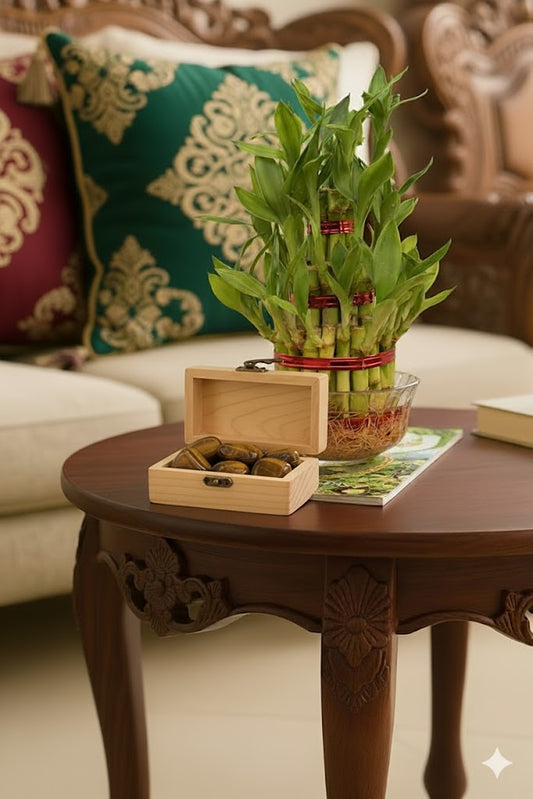 two layer LUCKY BAMBOO plant+selfwatering POT+ TIGER EYE Crystal tumble