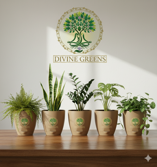 set of 5 pots-4 inch size- self watering pots-rock brown colour