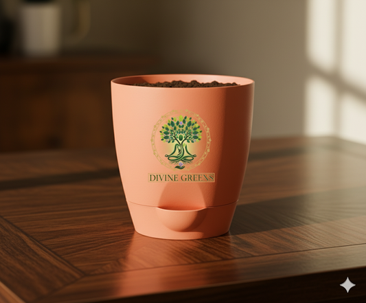 set 0f 5 pots- 4 inch self watering pot- peach colour