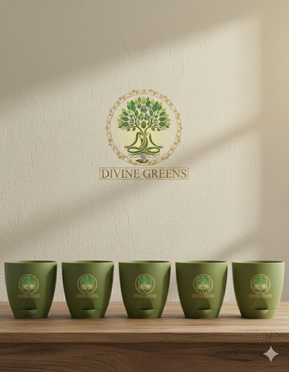 set of 5 pots- 4 inch size self watering pot-olive colour